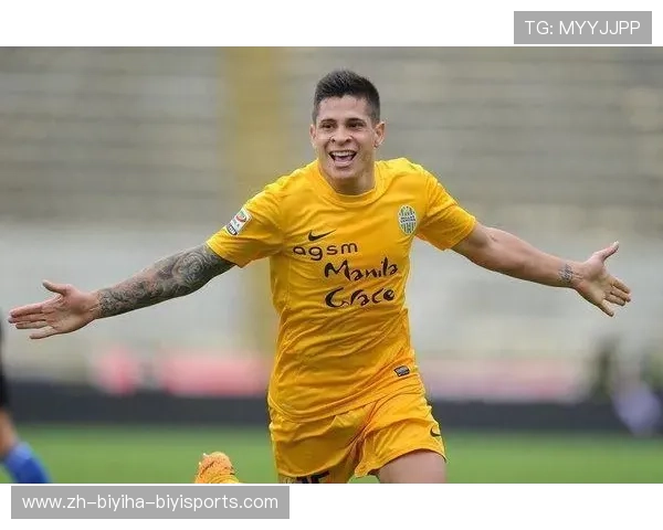 意甲球队转会费一览表及历史最高纪录球员